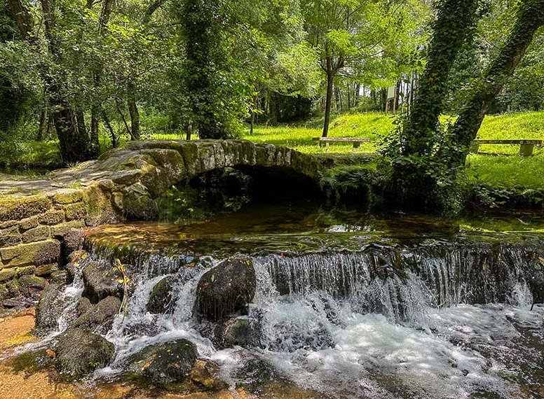 Castro lupario, Spain